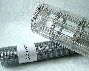 S.S. Welded Wire Mesh